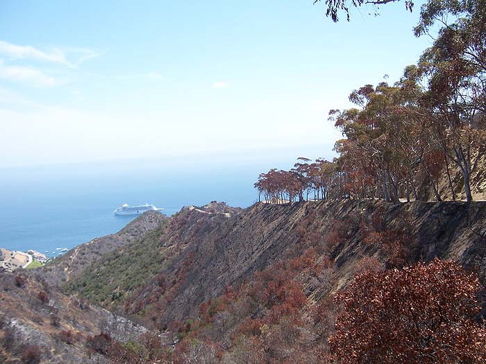 Looking back toward Avalon from the coast road above town.