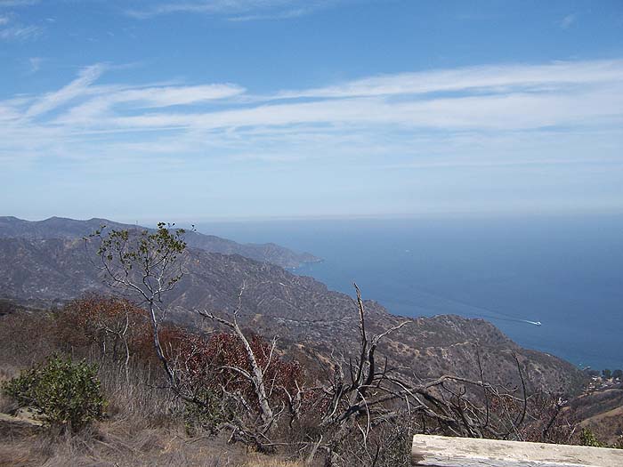 Looking over the northern coast above Avalon; note the recent fire damage in the foreground.