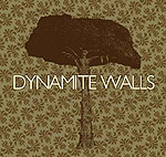 Dynamite Walls